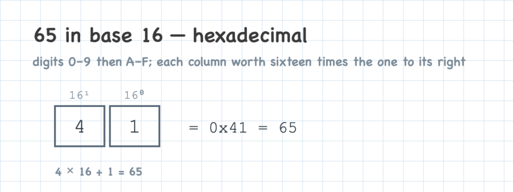 The number 65 written in hexadecimal, base 16