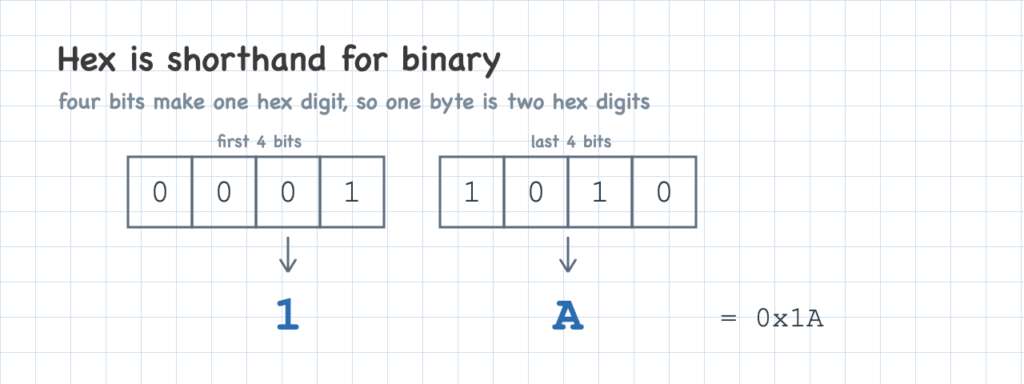 A byte shown as eight bits and as the two hex digits it equals