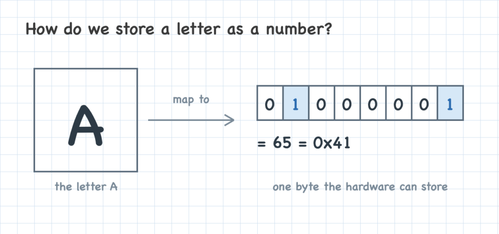 The letter A beside the number 65 in a single byte the hardware can store